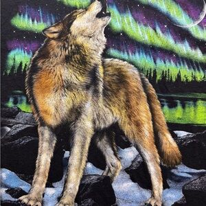 Nature tee/wolf aurora tee-XL(22x28)